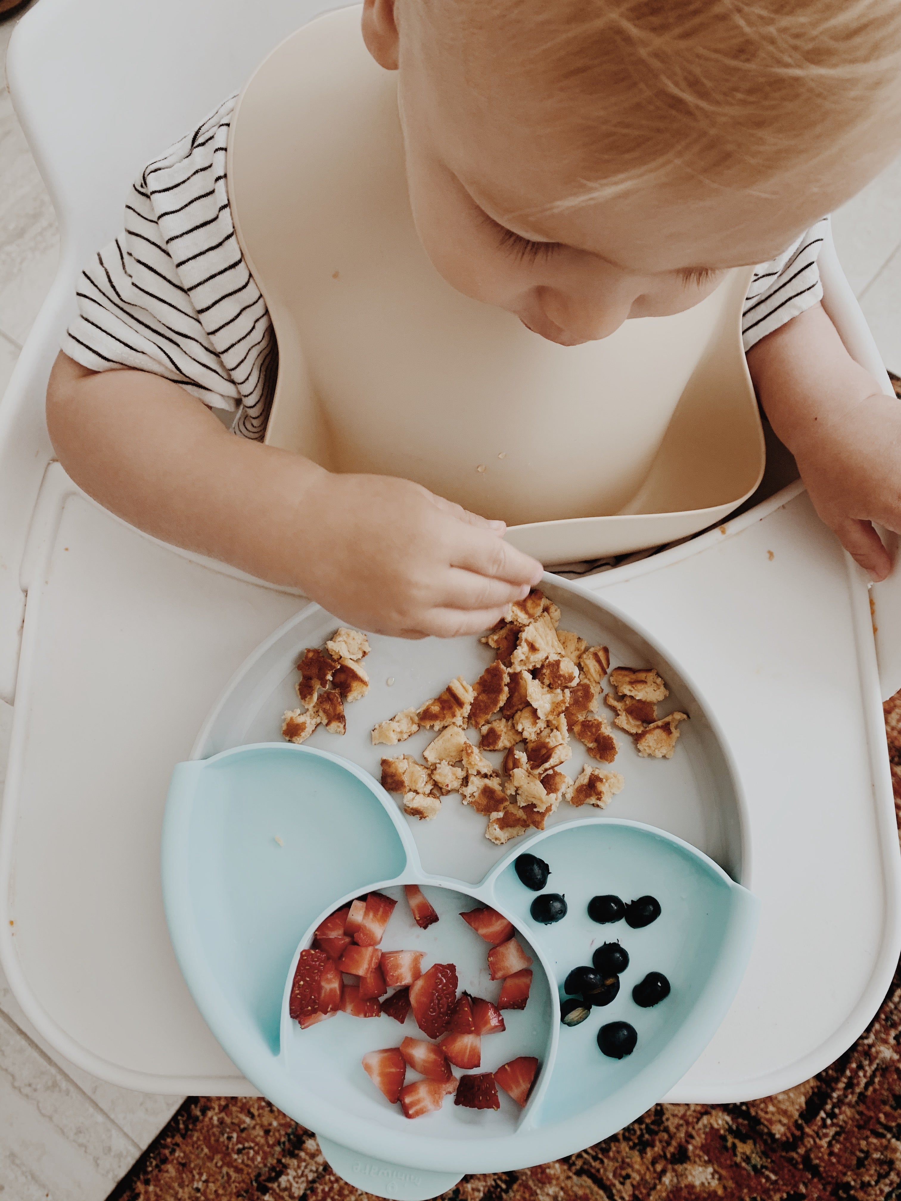 Sandwich Plate Collection